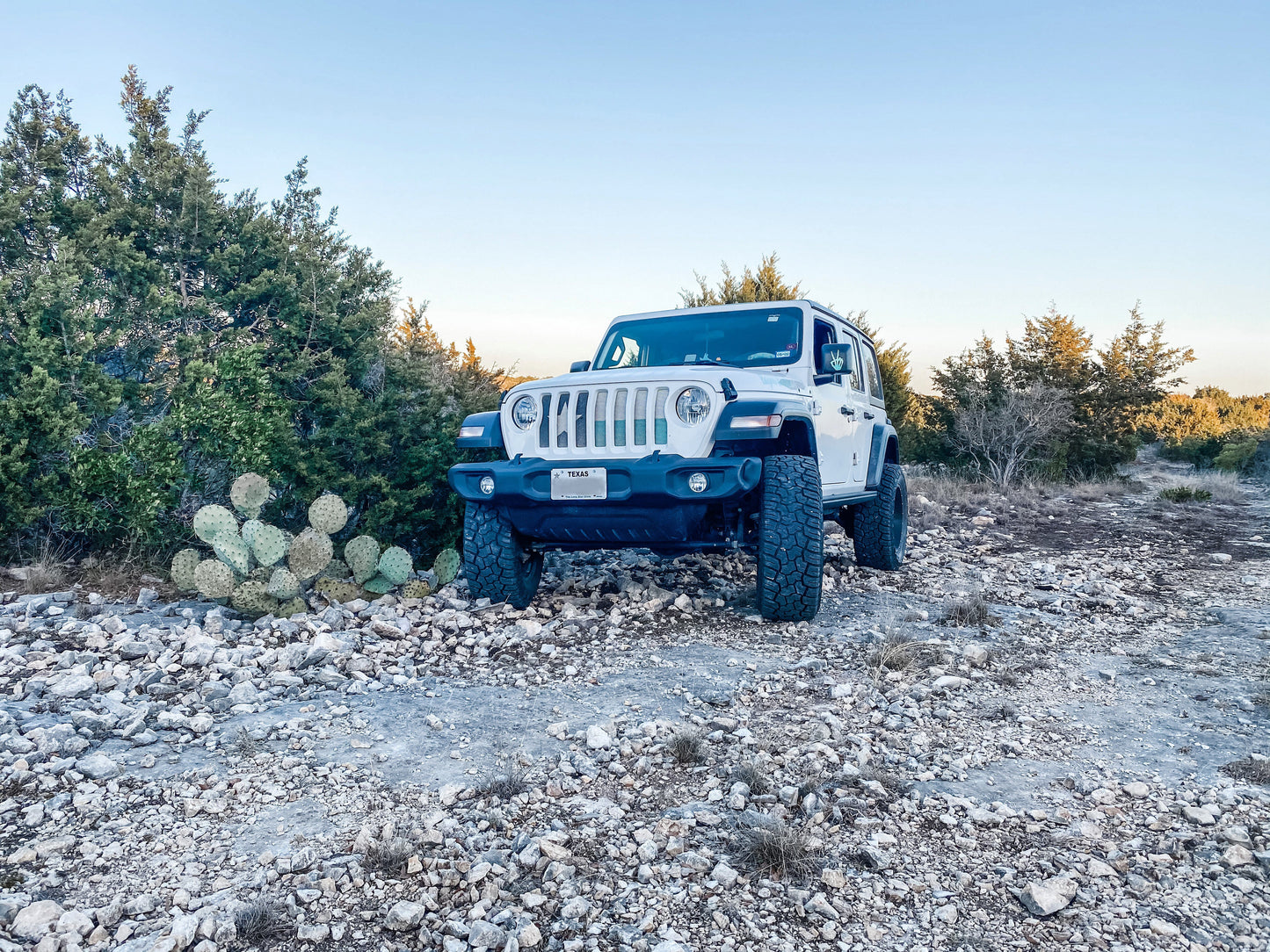 Texas Teal State Flag Grille Insert