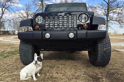 American Tactical Grille Insert