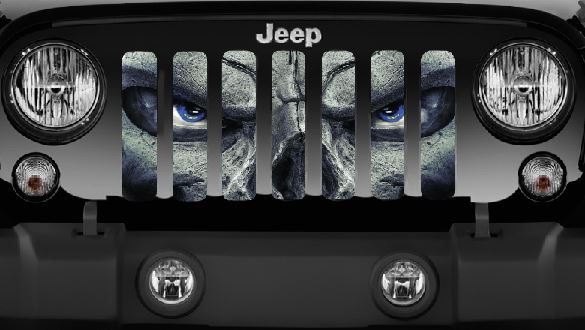 Always Watching (BLUE Eyes) Grille Insert