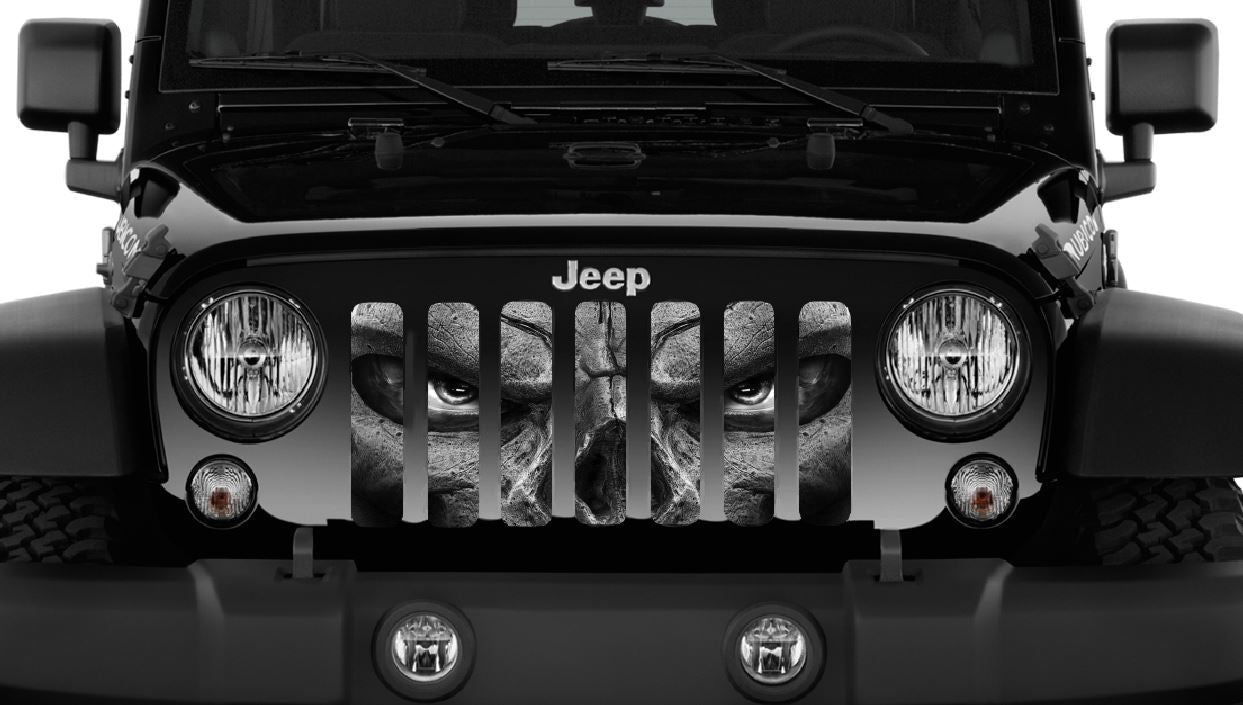 Always Watching (Gray Eyes) Grille Insert