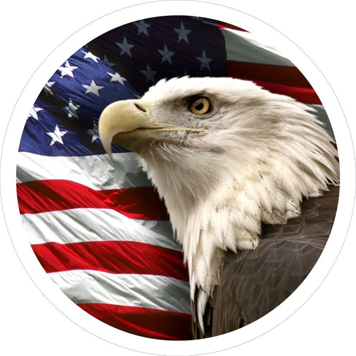 American Flag With Bald Eagle-duckduckjeep-offroad-wrangler-gladiator-3d-jeep duck-custom duck-Jeep-The Quacktory-Fun Jeep Ducks-Ducks4Jeep
