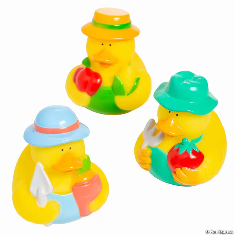 Garden Gang Character Rubber Ducks - by the dozen