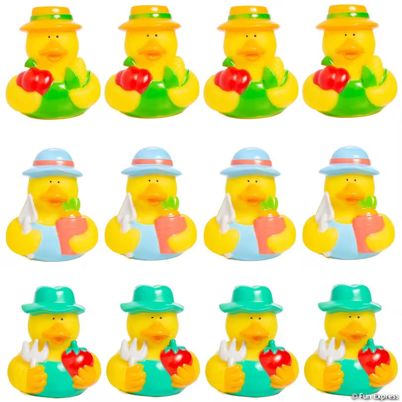 Garden Gang Character Rubber Ducks - by the dozen