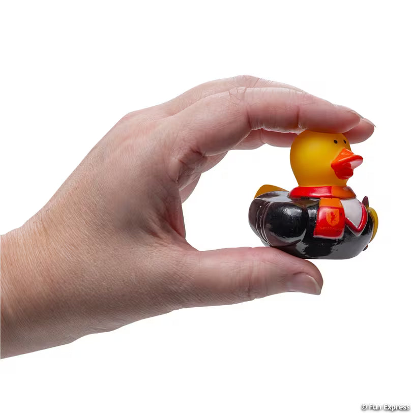 Harry Potter™ Hogwarts Houses Rubber Ducks – by the Dozen