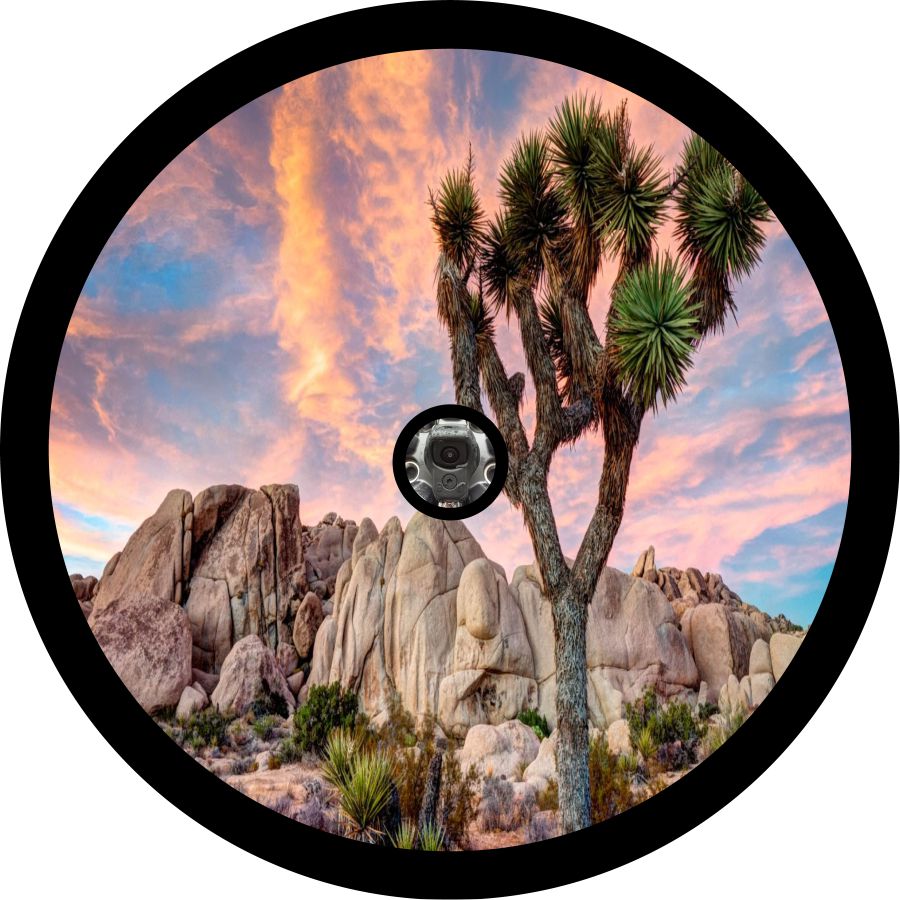 Joshua Tree National Park-duckduckjeep-offroad-wrangler-gladiator-3d-jeep duck-custom duck-Jeep-The Quacktory-Fun Jeep Ducks-Ducks4Jeep