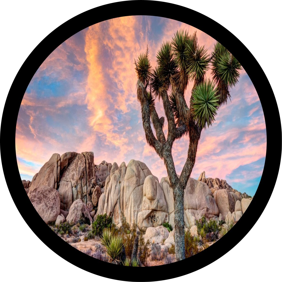 Joshua Tree National Park-duckduckjeep-offroad-wrangler-gladiator-3d-jeep duck-custom duck-Jeep-The Quacktory-Fun Jeep Ducks-Ducks4Jeep
