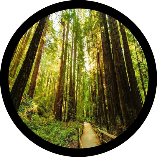 Redwoods National Forest-duckduckjeep-offroad-wrangler-gladiator-3d-jeep duck-custom duck-Jeep-The Quacktory-Fun Jeep Ducks-Ducks4Jeep