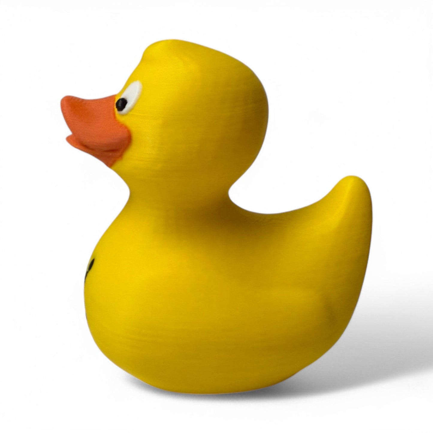The Wave Duck