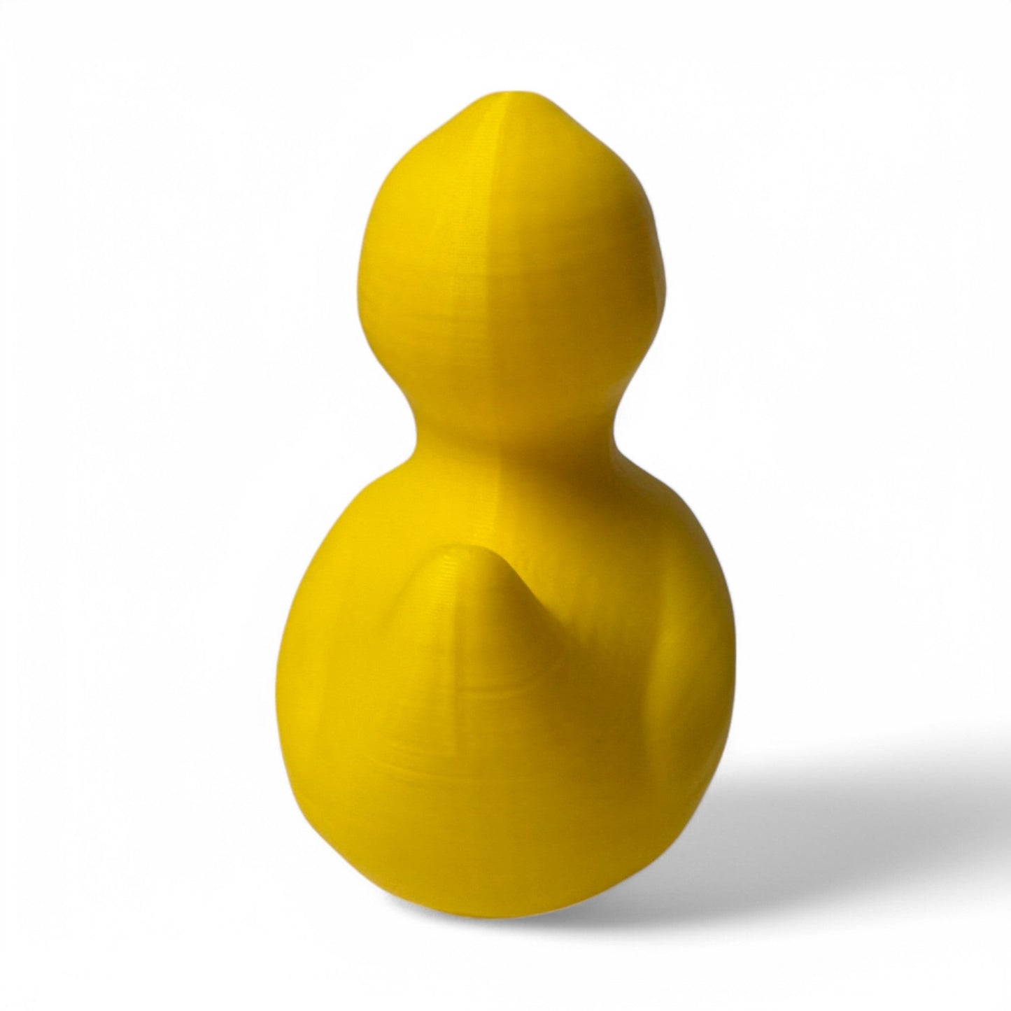The Wave Duck