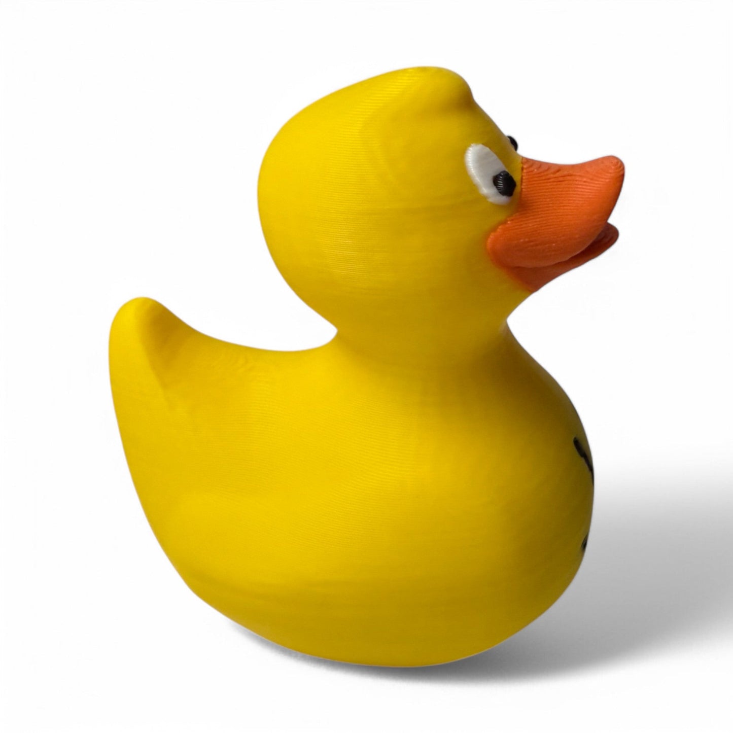 The Wave Duck