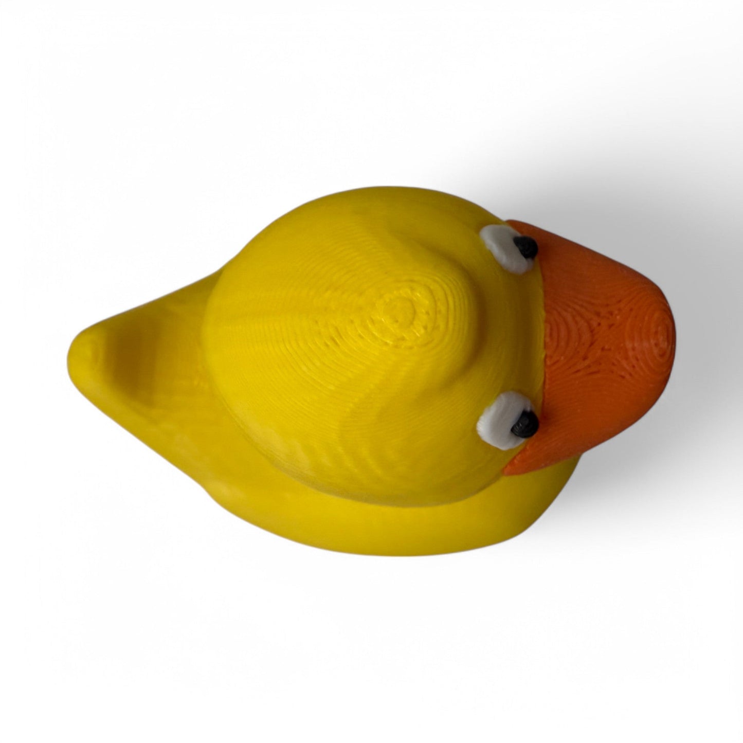 The Wave Duck