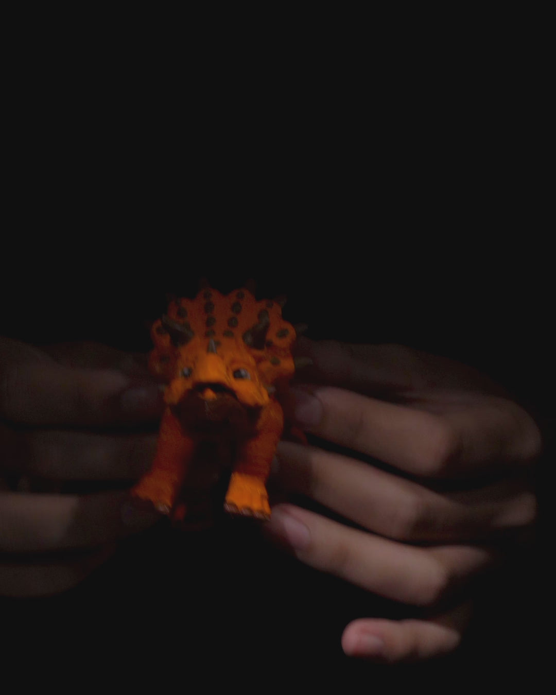Triceratops – The Quacktory