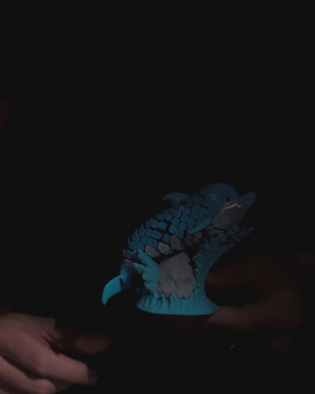 Dennis, the Dolphin – The Quacktory